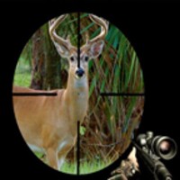 Deer Hunting 1.2
