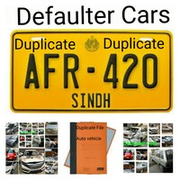 DefaulterCars icon