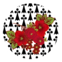 DigitalTsonga Mobile icon