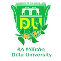 Dilla University Portal icon