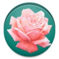 Dini Videolar icon