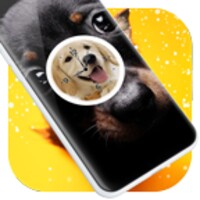 Dog Clock Live Wallpaper icon