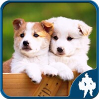 Dog Jigsaw Puzzles icon