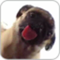 Dog Licking Live Wallpaper Free 1.2