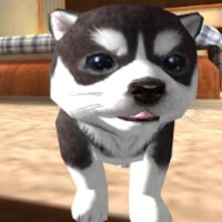 Dog Puppy Simulator 1.4.6