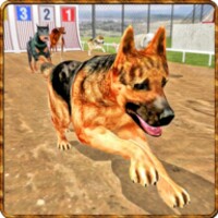 Dog Stunt Training 3D icon