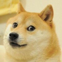 Doge icon