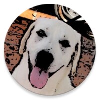 Dogs Game icon