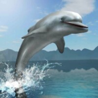 Dolphin Survival Simulator 1.0