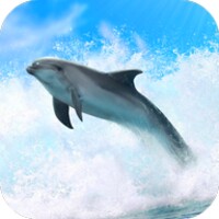 Dolphins 3D 7.0