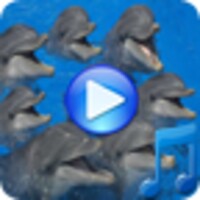 Dolphins songs to sleep 1.2