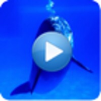 Dolphins - Sound to relax 1.7