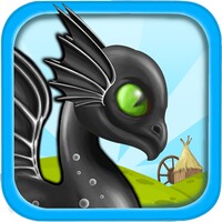 Dragon Village icon