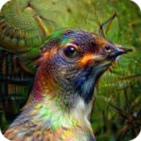 DreamDeeply icon