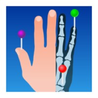 e-Anatomy 4.11.0