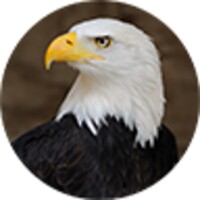 Eagle Sounds icon