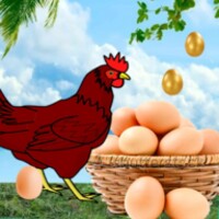Egg Catcher surprise