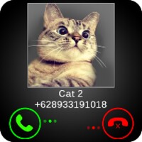 Fake Call Cat Joke icon