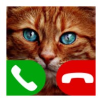 Fake Call Cat 4.0
