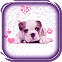 Puppy Live Wallpaper