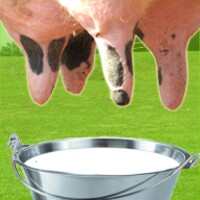 Farm Milk The Cow 2.5.2