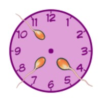 Fertile Alarm icon