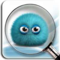 Find it icon