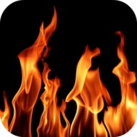 Fire Video Live Wallpaper 3.0