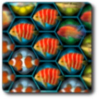 Fish Match icon