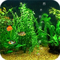 Fish Tank HD 1.9