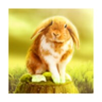 Flora Park HD Lite icon