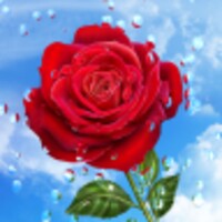 Flowers and Rain Drops icon