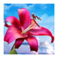 Flowers. Magic Touch. icon