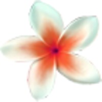 Flowers wallpaper icon