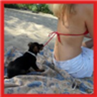Free Funny Videos icon