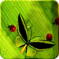 Friendly Bugs Free icon