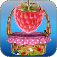 Fruit ball icon