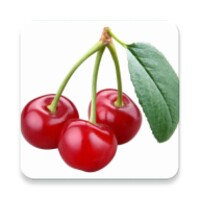 Fruit Words icon