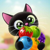 Fruity Cat icon