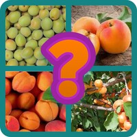 Frutas icon