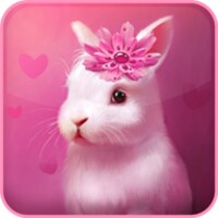 Cute Animals Live Wallpaper 1.8