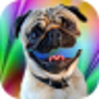 Funny talking dog icon