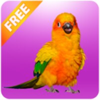 Funny Talking Parrot icon