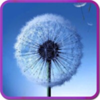 Galaxy S3 Fly Dandelion Live Wallpaper icon