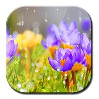 Galaxy S4 Rain Drops icon