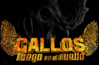 GALLOS FUEGO icon