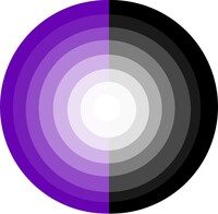 GCamator icon
