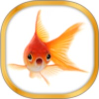 Gold Fish Live Wallpaper icon