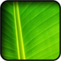 Green Wallpapers icon