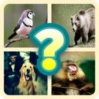 Guess the Animal Pics icon